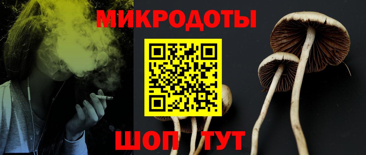 Галлюциногенные грибы MAGIC MUSHROOMS  Вход с VPN  Кызыл 